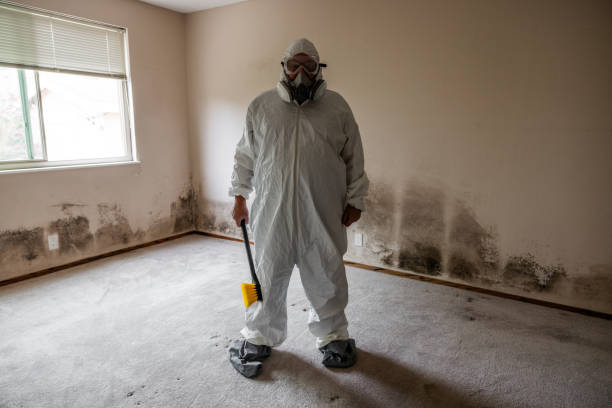 Best Commercial Mold Removal  in Eagle Grove, IA